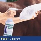 Step 1. Spray