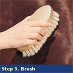 Step 3. Brush