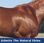 Admire The Natural Shine